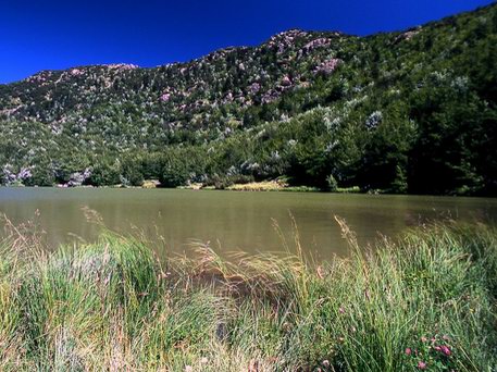 Azienda Agricola La Tosa Agriturismo