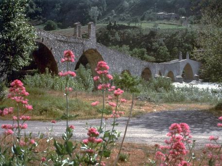 Azienda Agricola La Tosa Agriturismo