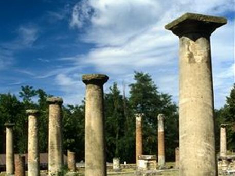 Azienda Agricola La Tosa Agriturismo