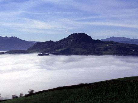 Azienda Agricola La Tosa Agriturismo