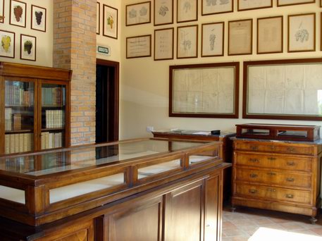 Azienda Agricola La Tosa Knowledge