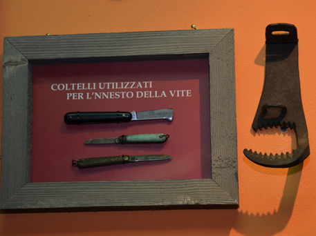 Azienda Agricola La Tosa Knowledge