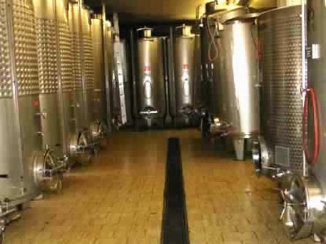 Azienda Agricola La Tosa Cantina