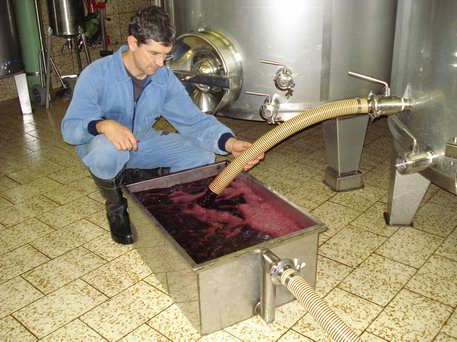 Azienda Agricola La Tosa Cantina