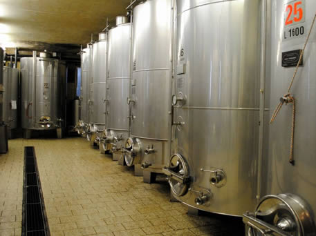 Azienda Agricola La Tosa Cantina