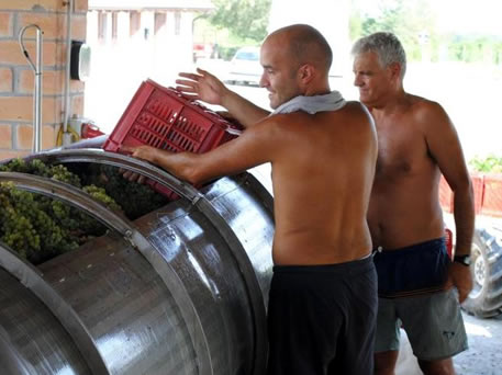 Azienda Agricola La Tosa Cantina