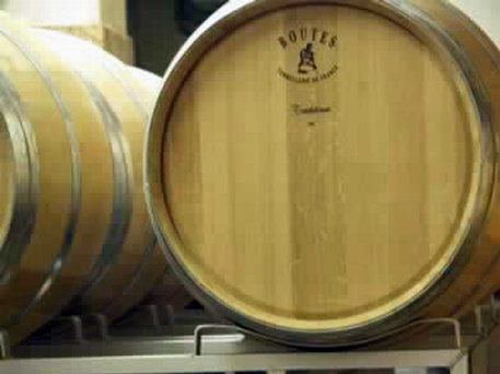 Azienda Agricola La Tosa Cantina