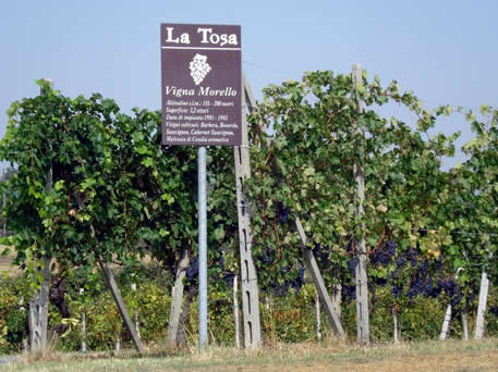 Azienda Agricola La Tosa Cellar
