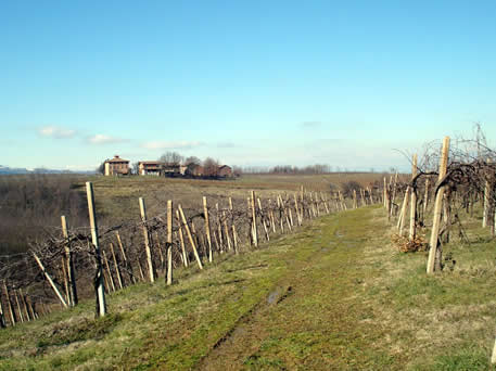 Azienda Agricola La Tosa Cellar