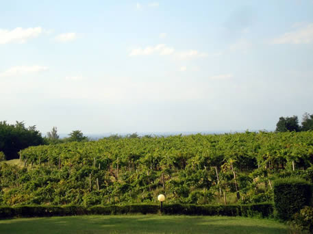 Azienda Agricola La Tosa Cellar