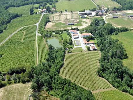 Azienda Agricola La Tosa Cellar