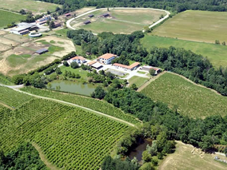 Azienda Agricola La Tosa Cellar