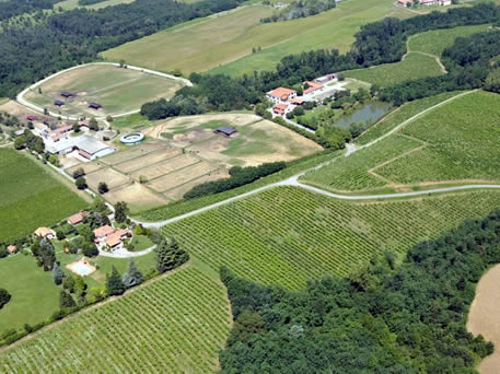 Azienda Agricola La Tosa Cellar