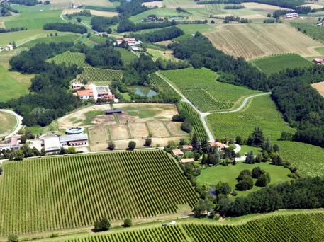 Azienda Agricola La Tosa Cellar