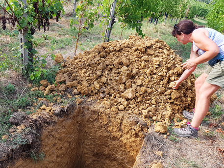 Azienda Agricola La Tosa Cellar