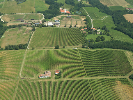 Azienda Agricola La Tosa Cellar