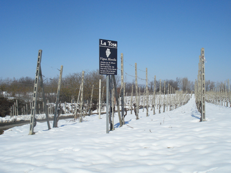 Azienda Agricola La Tosa Cellar